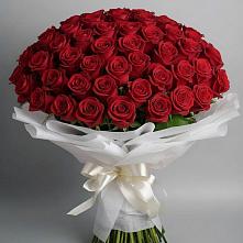 Букет 101 Красная роза Блэк Мэджик в Дондуковском