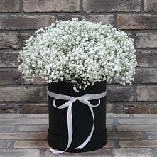 Цветочная композиция из Гипсофила в шляпной коробке в Дондуковском