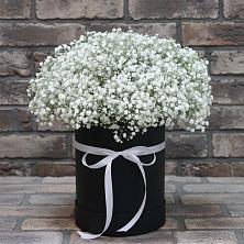 Цветочная композиция из Гипсофила в шляпной коробке в Дондуковском