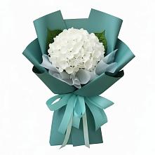 Букет цветов из:  Гортензия в Дондуковском